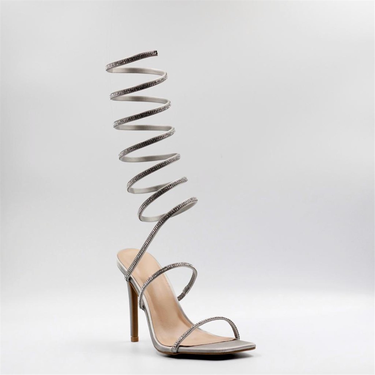 Darcy - Image 2